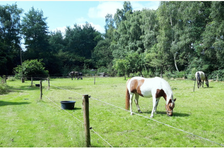 Vakantieboerderij Hoeve Heide en Wold met hottub direct aan ruiterroutes VMP010